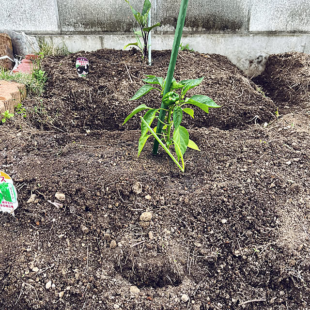 seiさんの部屋