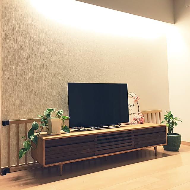 kameさんの実例写真