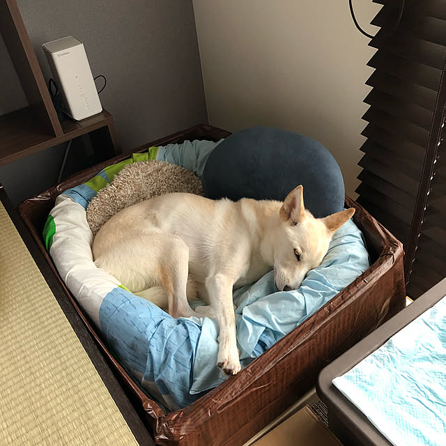 tanboさんの実例写真