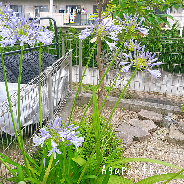 masarinn.さんの実例写真
