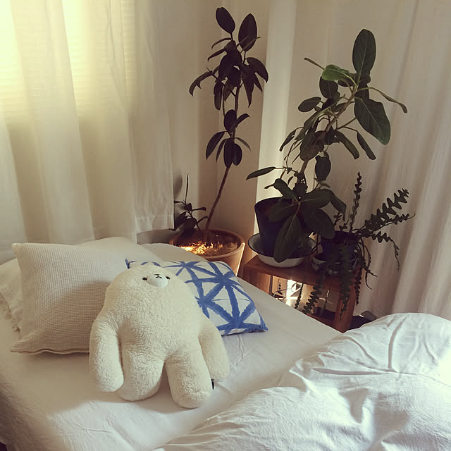 yukiatarIさんの実例写真