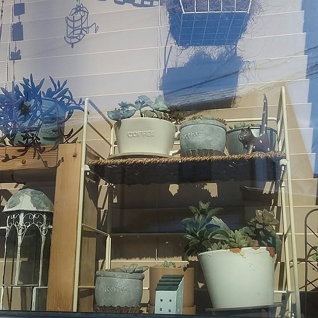 yukkoさんの実例写真