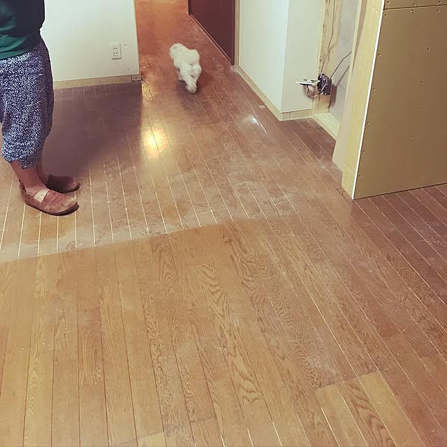 akyariさんの実例写真