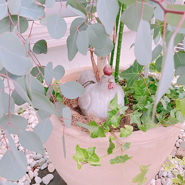 akiko-ovさんの部屋