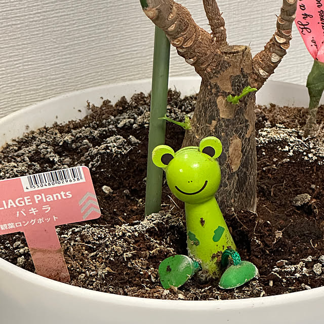 Taeさんの部屋