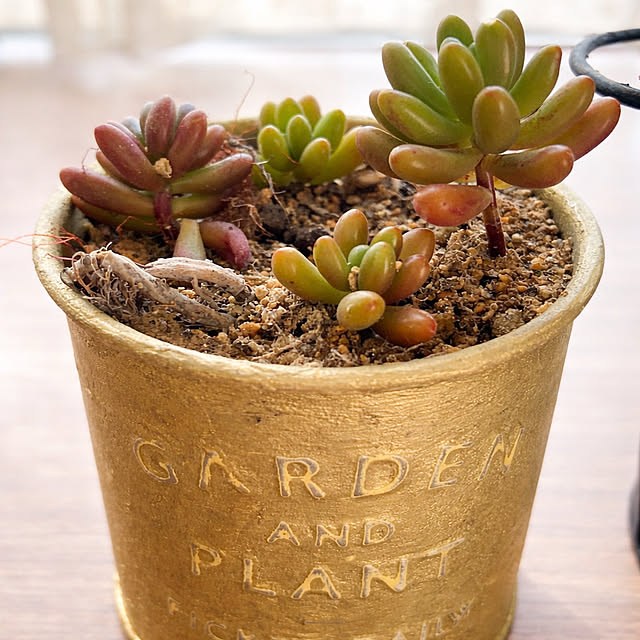 candy7ramさんの実例写真