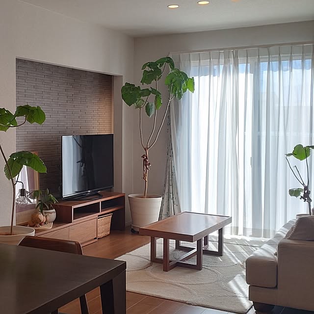 tan5さんのお部屋の写真