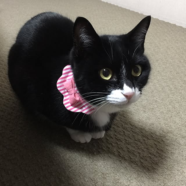 mtkさんの実例写真