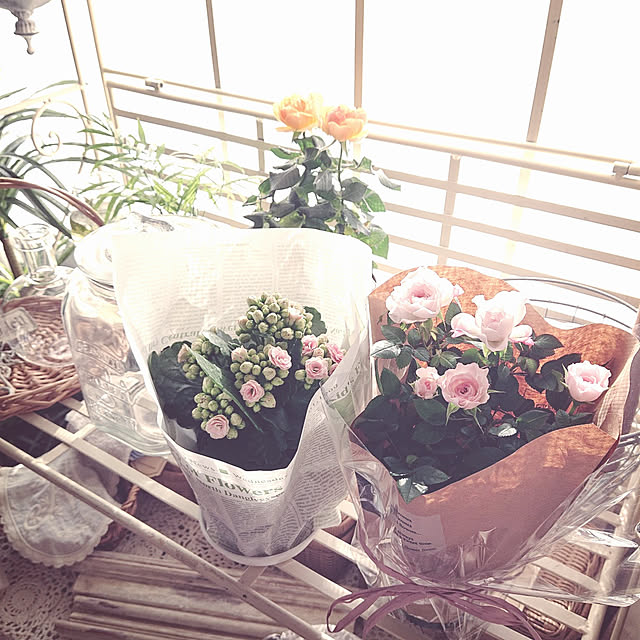 miho.okuさんの実例写真