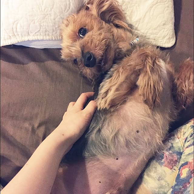miyuさんの実例写真