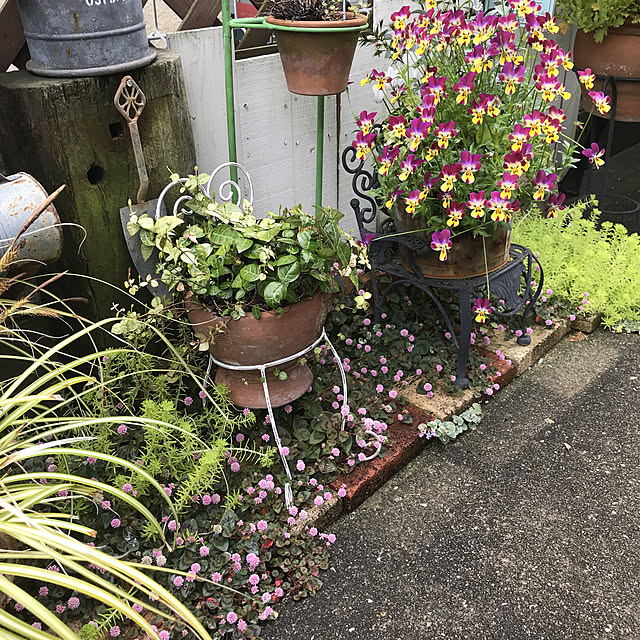 tanomamaさんの実例写真