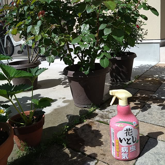 odecomaikoさんの部屋