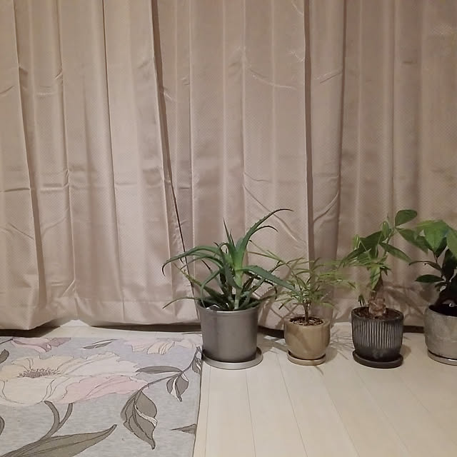 tさんの実例写真