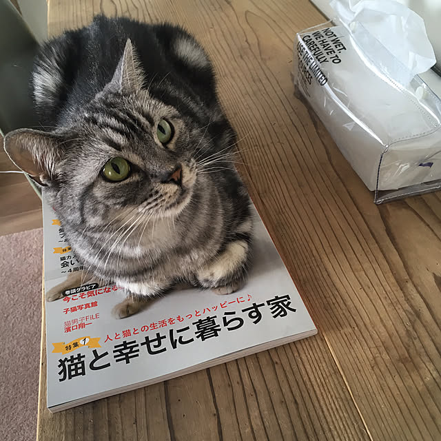 mikomaruさんの実例写真