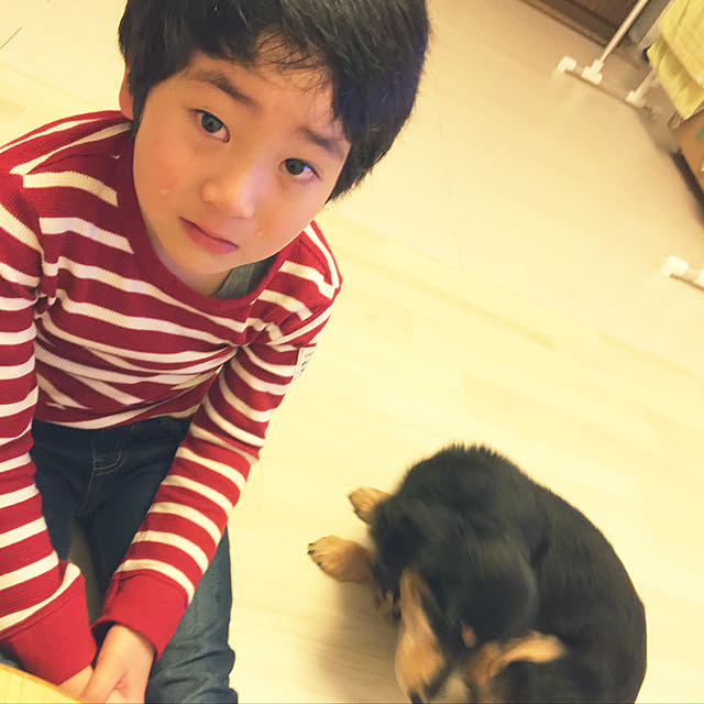 ohanaさんの実例写真