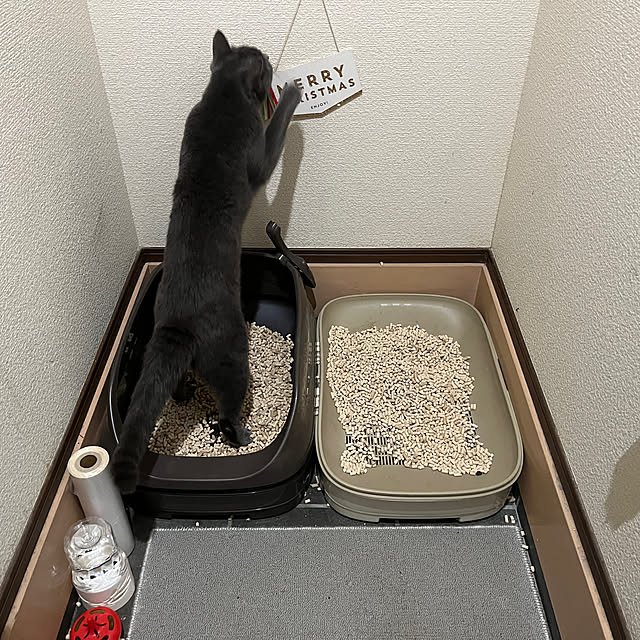 nekoさんの部屋