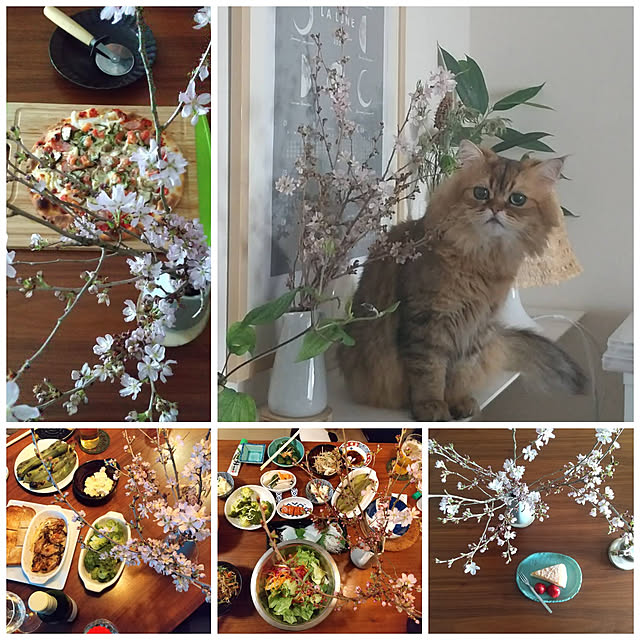 nobiさんの実例写真
