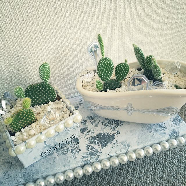 ...t_m_eee...さんの実例写真
