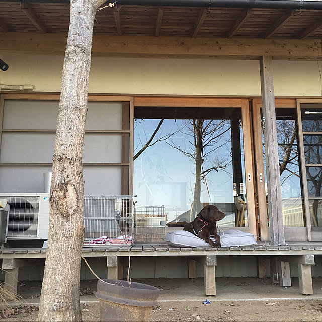 yukikoさんの実例写真