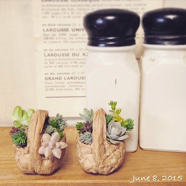mi_moさんの実例写真