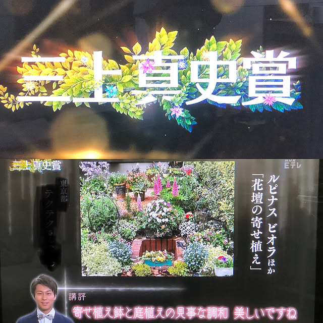 kurumeruさんの実例写真