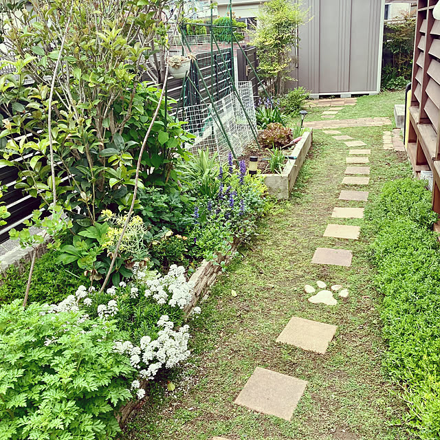 goro_wanさんの部屋