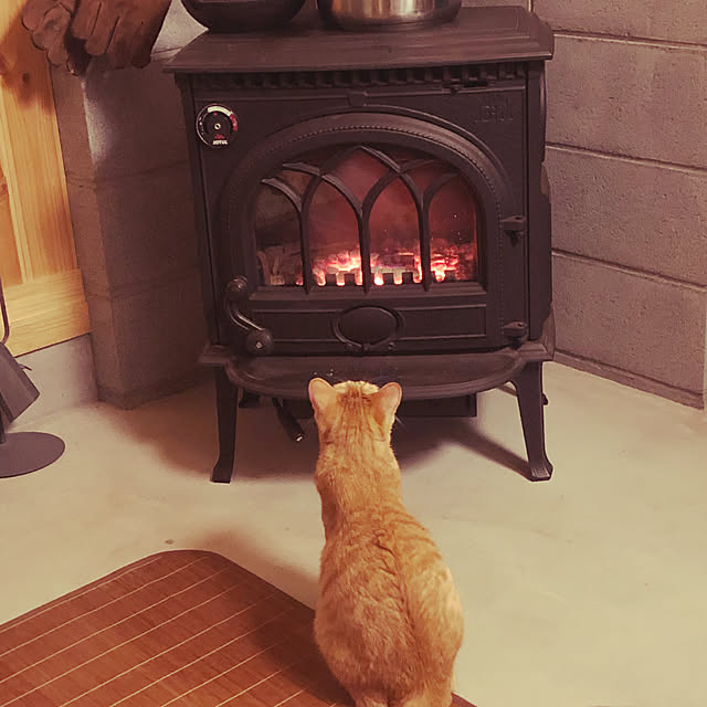 maronさんの実例写真