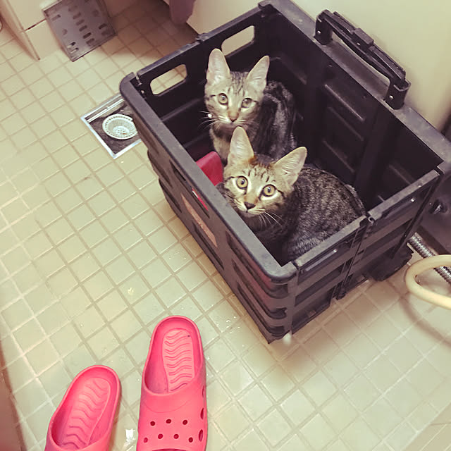 emikoさんの実例写真