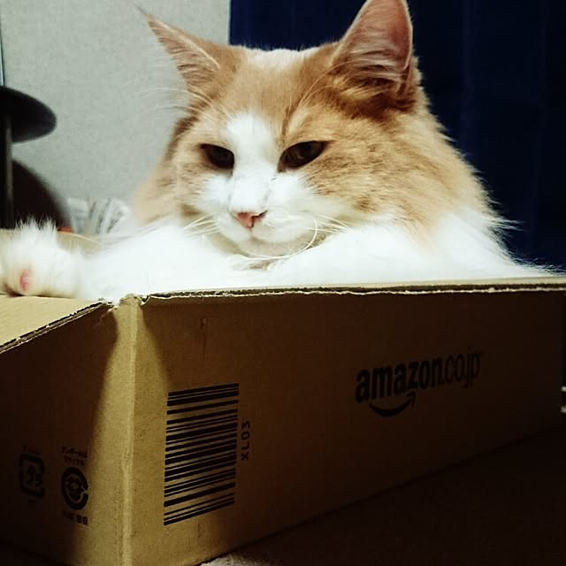 mirinさんの実例写真