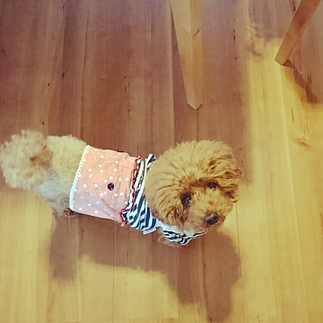 maki_noさんの実例写真