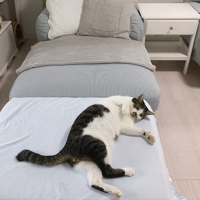 yuchiさんの実例写真