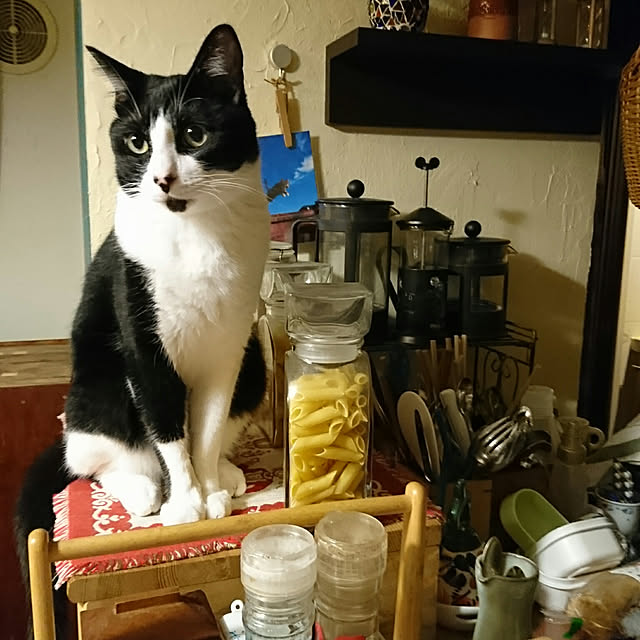 okyosan101さんの実例写真