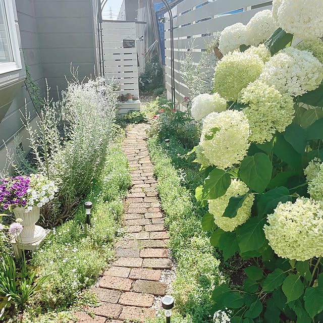 kotoriさんの実例写真