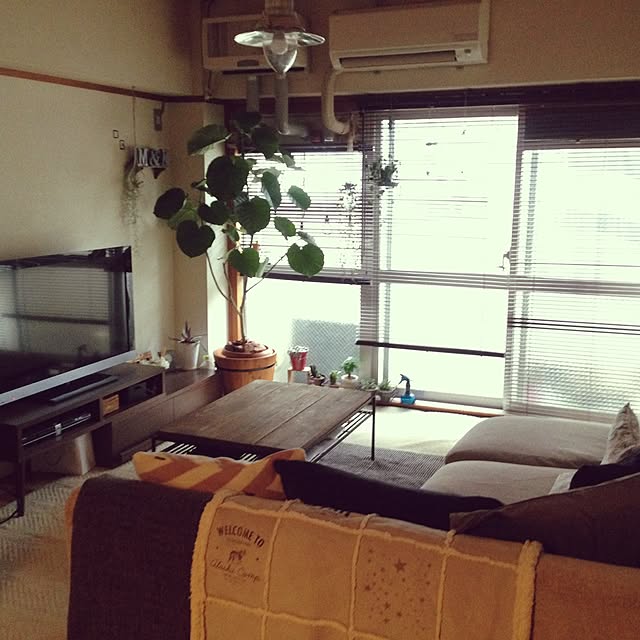 TMMさんの実例写真