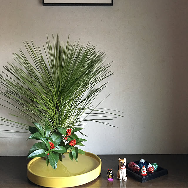 dainaoreiさんの実例写真