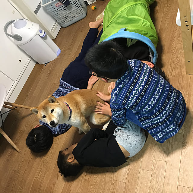 luckyさんの実例写真