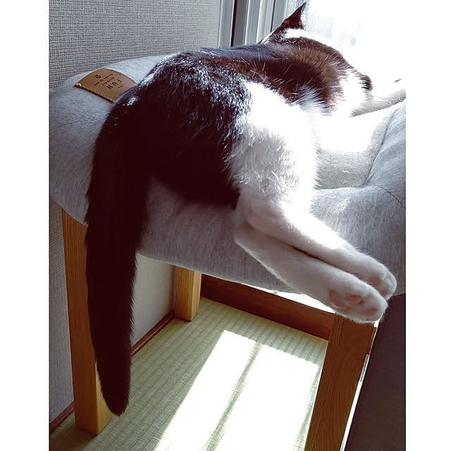 hihaさんの実例写真