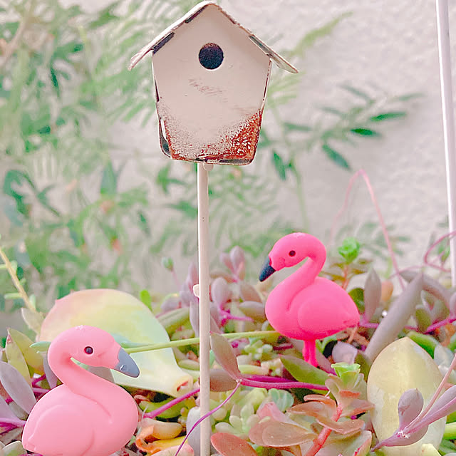 Hanakaさんの実例写真