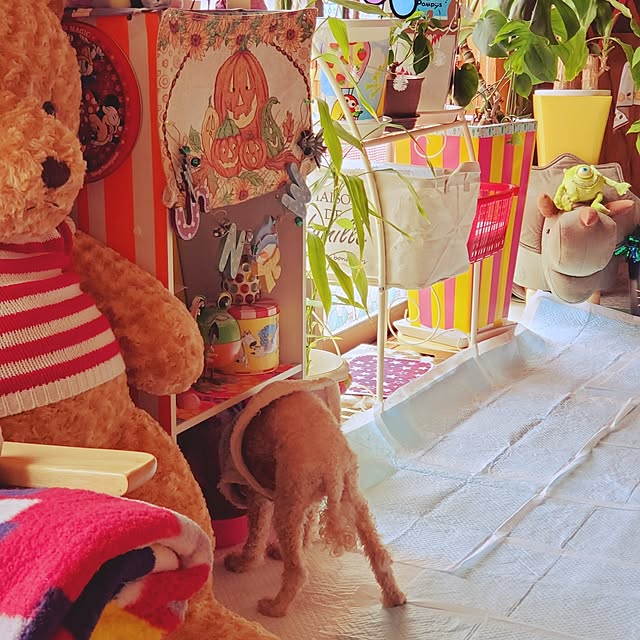 kumutanさんの実例写真