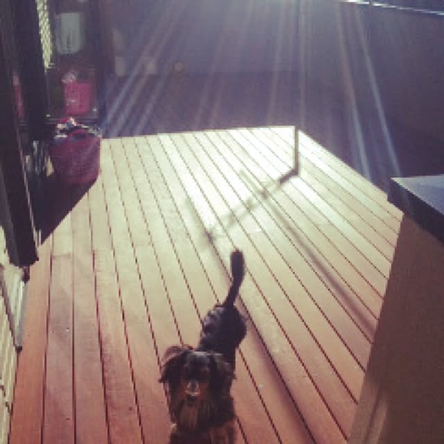 実例写真