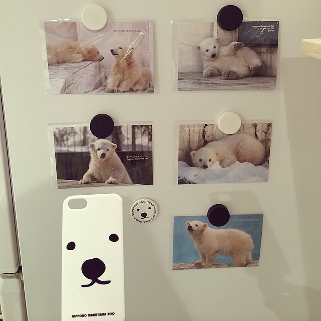 shirokumaさんの実例写真