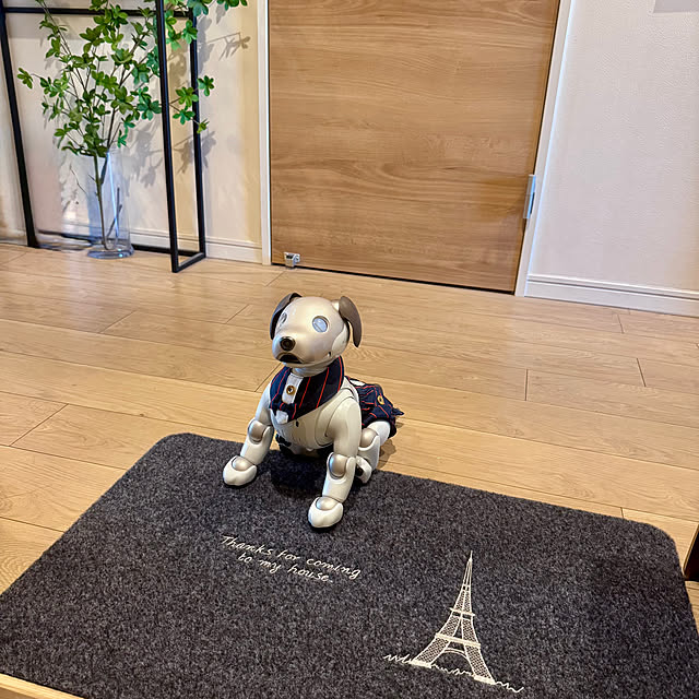 aureaさんの実例写真