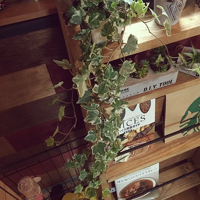 ANNAさんの実例写真