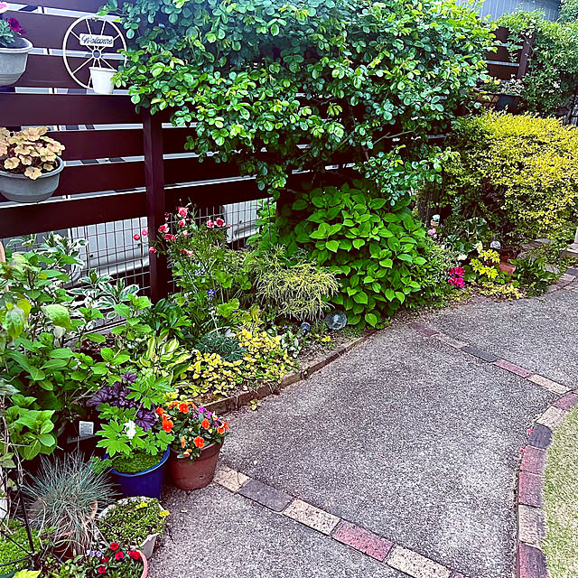 hinamamaさんの部屋