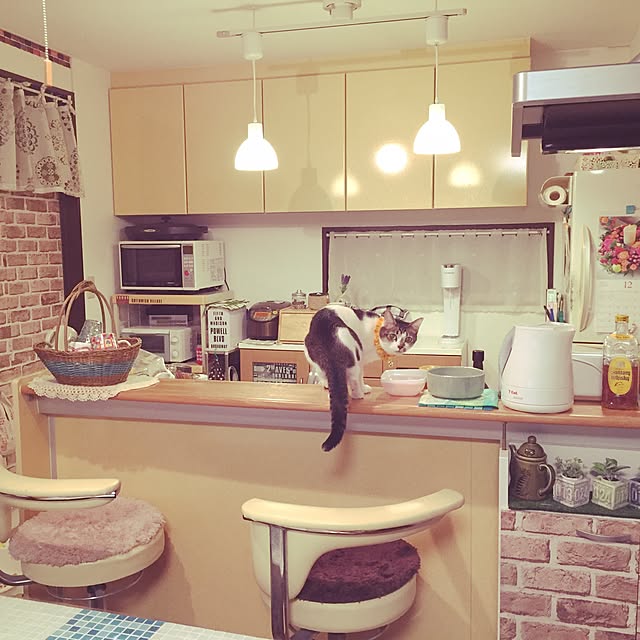 miiko3さんの実例写真