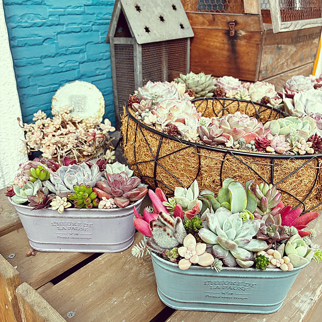 buchikoさんの部屋