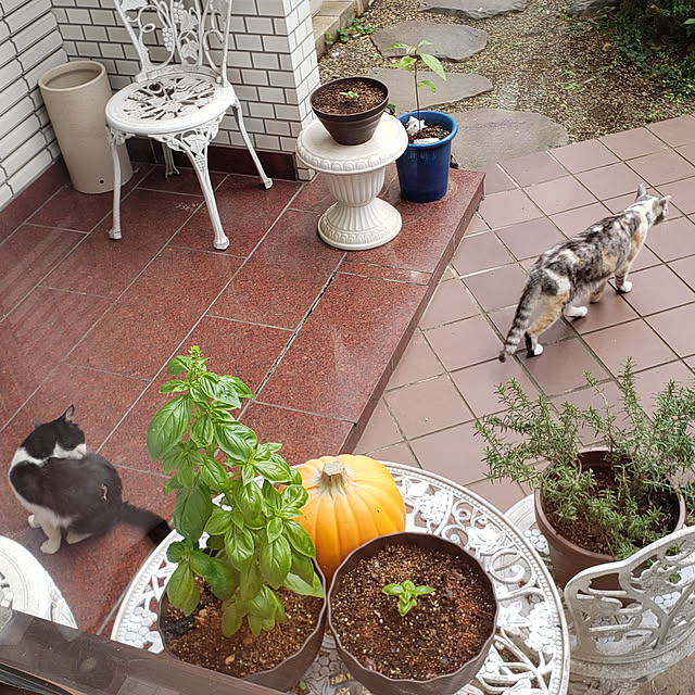 Mayumi8888さんの実例写真