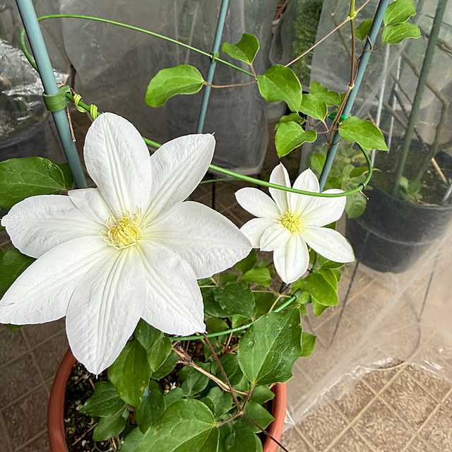 Aqettyさんの部屋