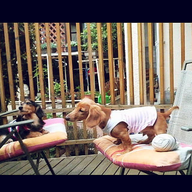 yurincaさんの実例写真