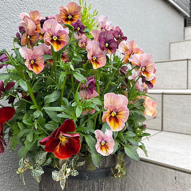 tomokokoさんの実例写真